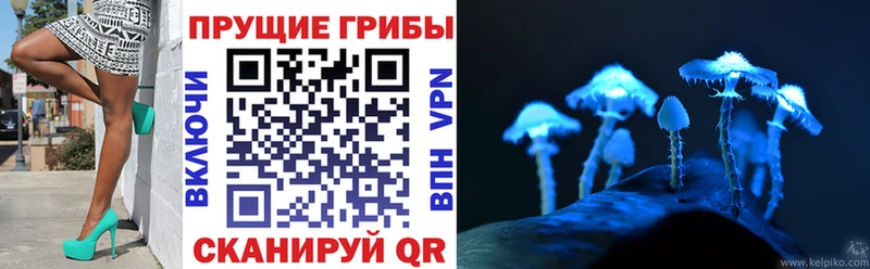 omg вход  Нефтекумск  Галлюциногенные грибы мухоморы 